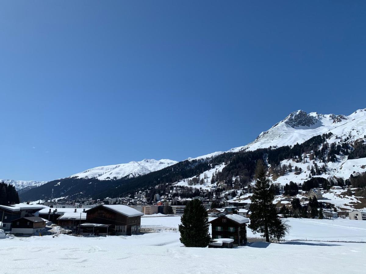 Luxury Panorama Apartment With Alpengold Spa Access Davos Buitenkant foto
